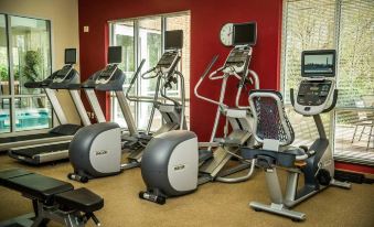 a gym with various exercise equipment , including treadmills and ellipticals , positioned in front of large windows at Hilton Garden Inn Lexington/Georgetown
