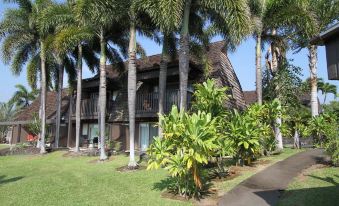 Colony I at Sea Mountain in Pahala