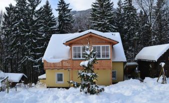 Ferienwohnung Alpenwiesen