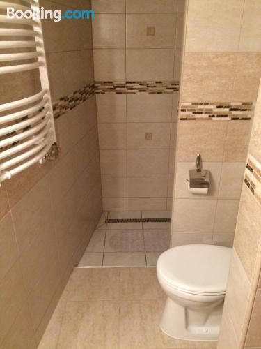 宠物友好型公寓