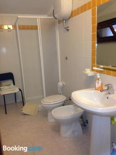 标准双人或双床房