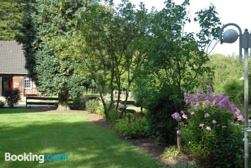 享有花园景致的公寓