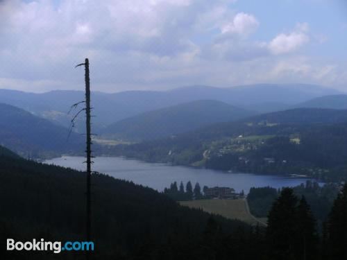 高级一卧室公寓