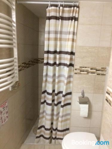 宠物友好型公寓