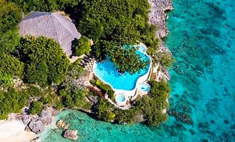 aerial view of a tropical island with a large swimming pool surrounded by palm trees and lush vegetation at Bluewater Sumilon Island Resort