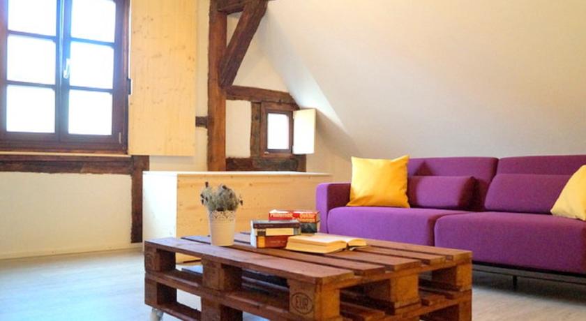 豪华一卧室公寓