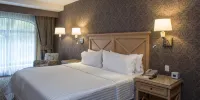 Holiday Inn QUERETARO-CENTRO HISTORICO by IHG