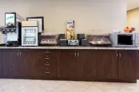 Microtel Inn & Suites by Wyndham Macon Các khách sạn ở 