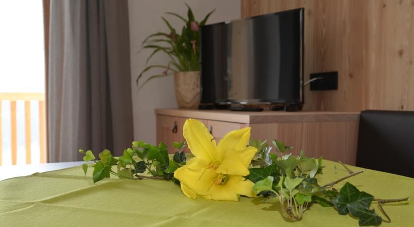 高级两卧室公寓