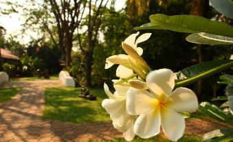 Secret Garden Chiangmai