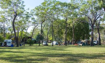 a large grassy field with several tents and a few campers , surrounded by trees in a park - like setting at Breeze Holiday Parks - Mary River