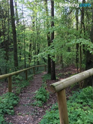 享有花园景致的公寓