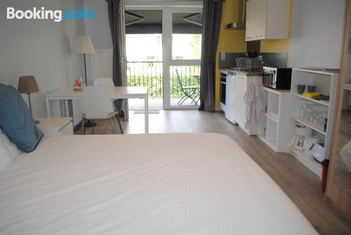 带园景一室公寓