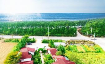 Taean Blue Ara Pension