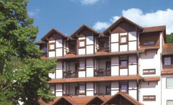 Blick zum Maimont - Housity