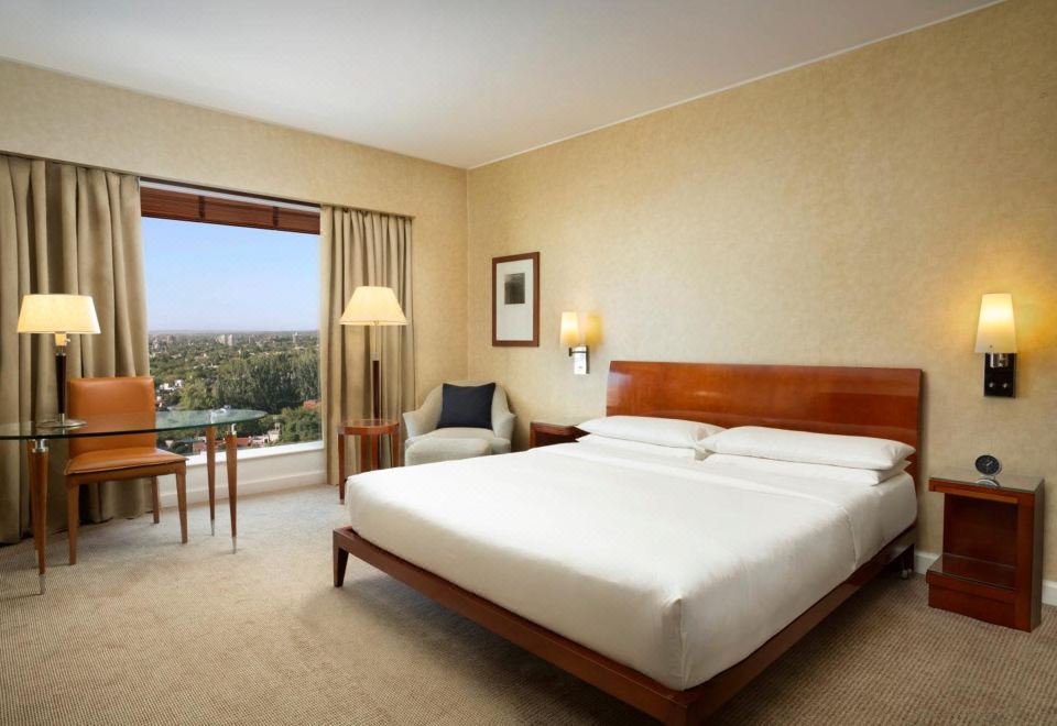 Park Hyatt Mendoza Hotel Casino and SpaTwin Room