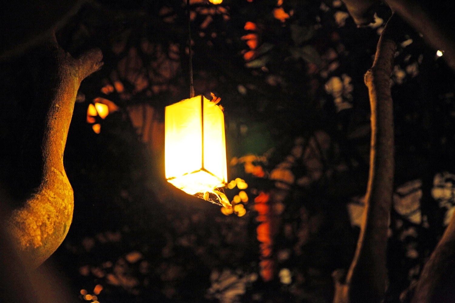 月亮山景阳台亲子房（柚林围炉煮茶+私享月亮山+古韵茶室）