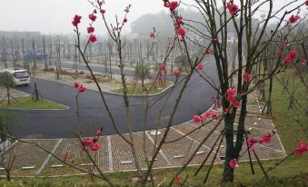 Taoyuan Ancient Town Station (Taohuayuan Visitor Center)