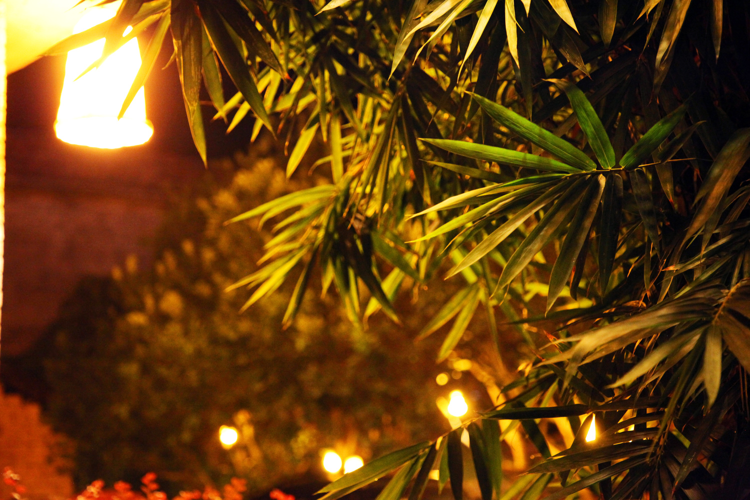 特价·柚子园林双床房（柚林围炉煮茶+古韵茶室）