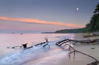 St Helens Coastal Resort