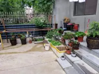 Yuelai Inn