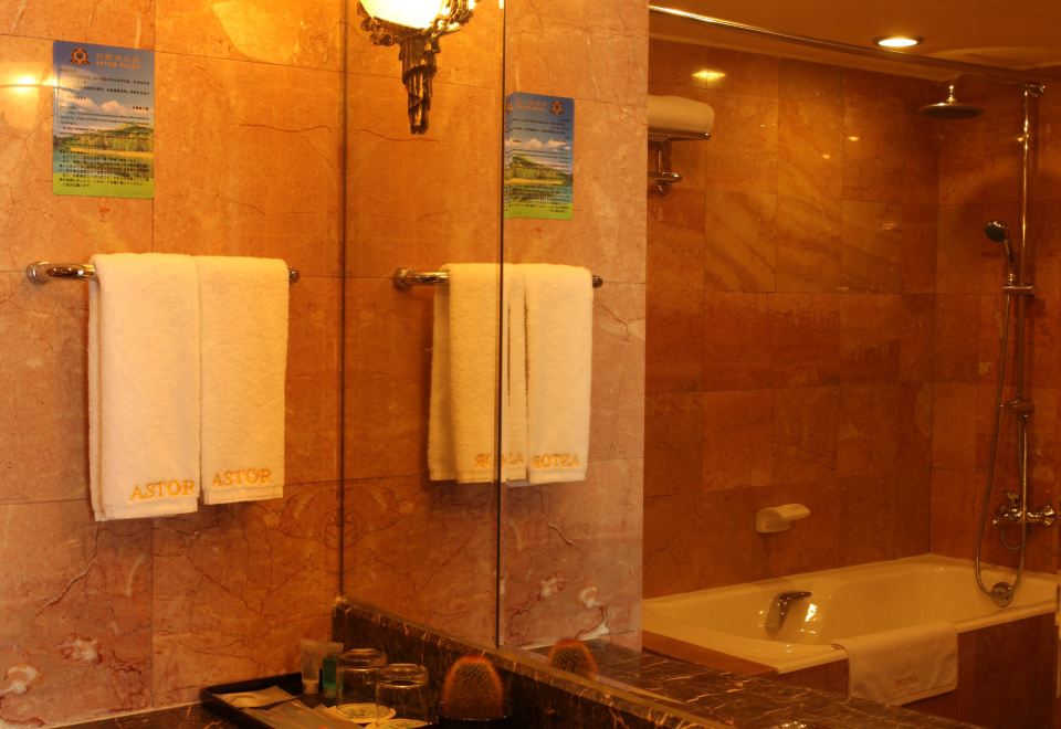 尊享|豪华两居室