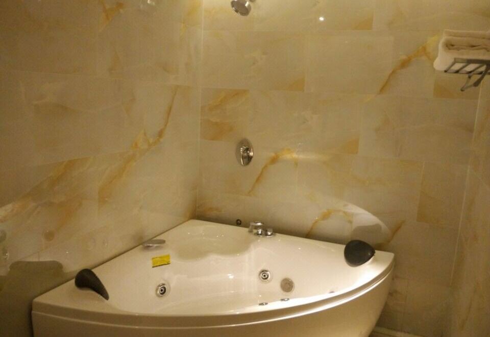 安国药都大酒店商务套房