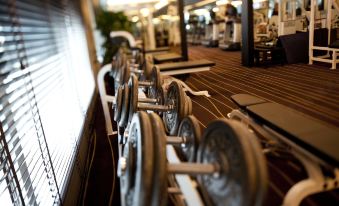 There are rows and racks of weight machines in a spacious fitness center or gym at the hotel at Marco Polo Xiamen