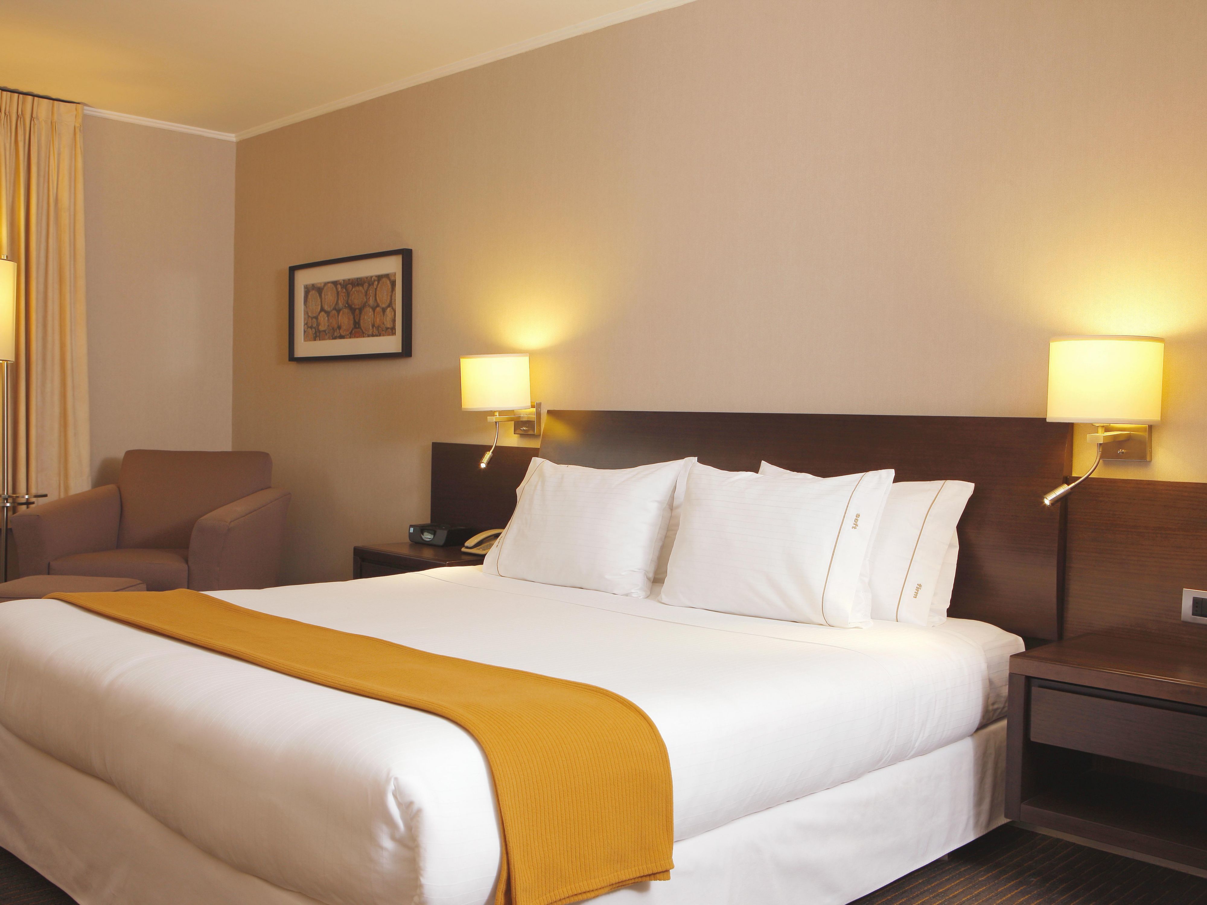 内景标准特大床房