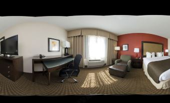 Holiday Inn Dallas-Fort Worth Airport S