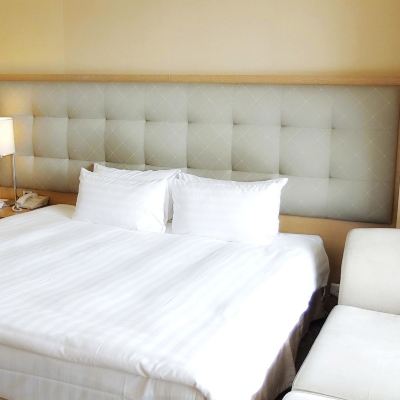 湖景大床房 南投日月潭大淶閣飯店優惠