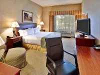 Holiday Inn & Suites ANN ARBOR UNIV. MICHIGAN AREA by IHG