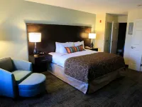 Staybridge Suites SILICON VALLEY-MILPITAS by IHG