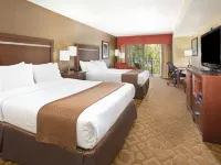 Holiday Inn & Suites DURANGO DOWNTOWN by IHG