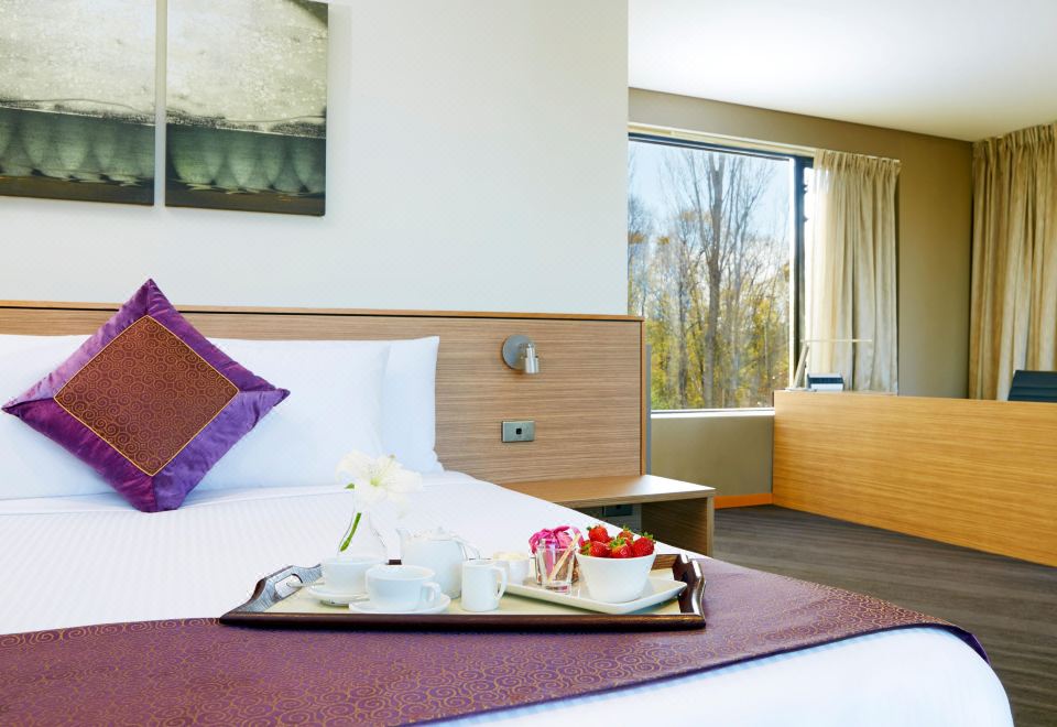 总统特大床套房