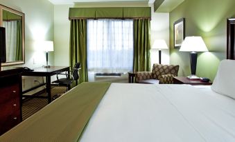 Holiday Inn Express & Suites Biloxi- Ocean Springs