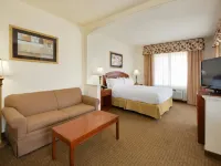 Holiday Inn Express & Suites ABILENE MALL SOUTH by IHG Hotels in Abilene