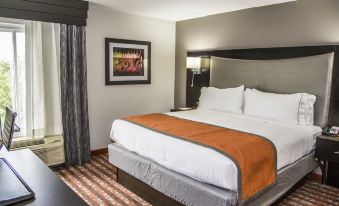 Holiday Inn Express & Suites Nashville Southeast - Antioch