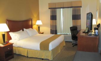 Holiday Inn Express & Suites Pensacola W I-10