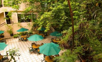 Hotel Maya Tulipanes Palenque
