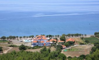 a picturesque view of a coastal town with blue buildings , trees , and the ocean in the background at Aphrodite Beach Hotel