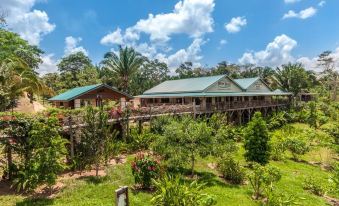 a large house surrounded by a lush garden , with various plants and trees surrounding the property at Dream Valley Belize