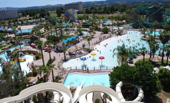 a water park with various water slides , pools , and other attractions , surrounded by trees and buildings at Hilton Concord