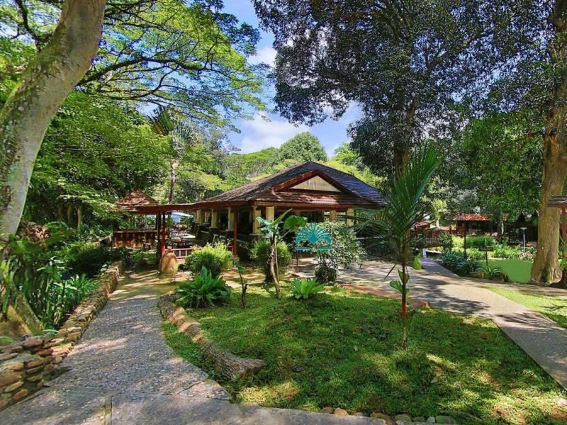 a serene tropical scene with lush greenery , a wooden building , and a stone path leading through the trees at Mutiara Taman Negara
