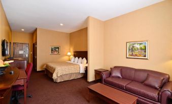 Best Western Plus Fredericton Hotel  Suites