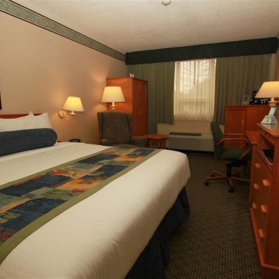 Suite-1 King Bed, Non-Smoking, No Pets Allowed, High Speed Internet Access, Business Class, Microwave and Refrigerator