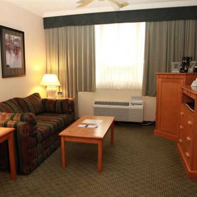 Suite-1 King Bed, Non-Smoking, Sofabed, Microwave and Refrigerator, Walk in Shower