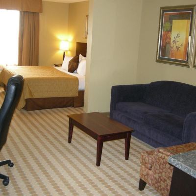 Suite-1 King Bed, Non-Smoking, High Speed Internet Access, Sofabed, Microwave and Refrigerator, Sink