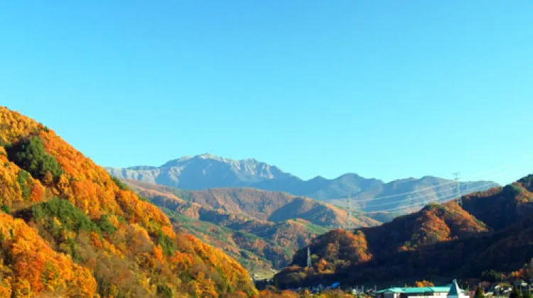 高遠さくらホテル 外観