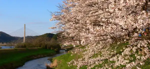 Hotels With Pools in Shimane Prefecture, Japan